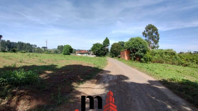 WhatsApp Image 2025-06-05 at 09.17.56