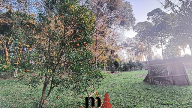 WhatsApp Image 2025-06-05 at 09.33.41