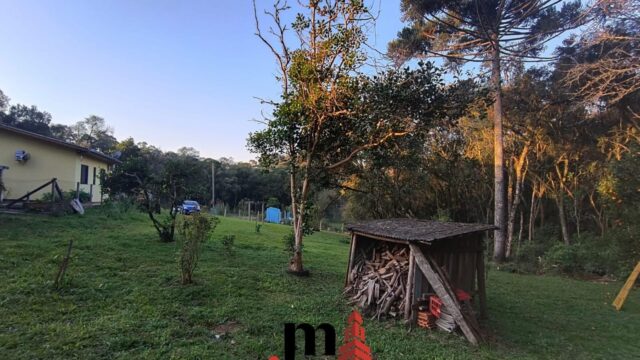 WhatsApp Image 2025-06-05 at 09.33.42 (1)