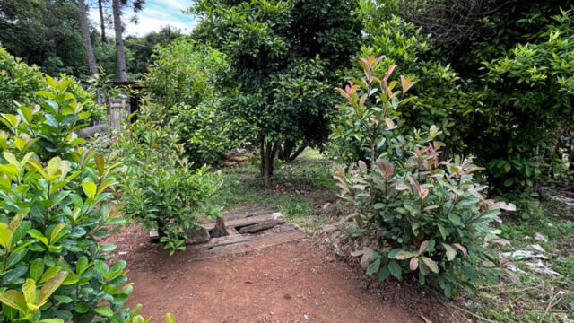 CHÁCARA TIJUCO PRETO 70.000  – 2