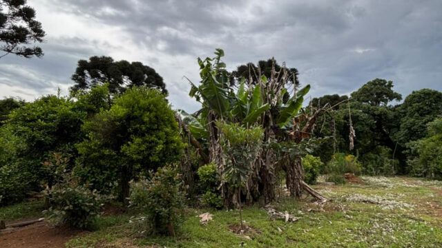 CHÁCARA TIJUCO PRETO 70.000  – 4